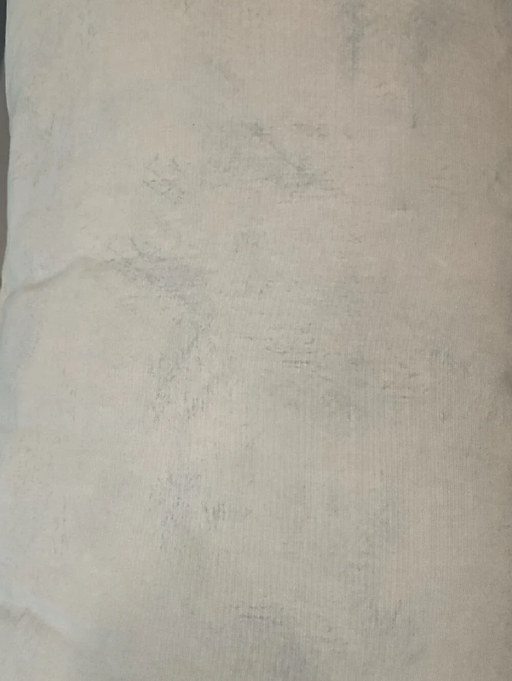 Pottery Barn Pacific Shell Outdoor Pillow - White & Light Blue